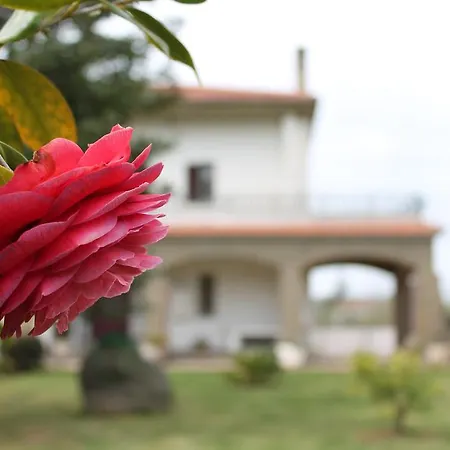 Le Farfalle B&B * Bracciano (Rome)