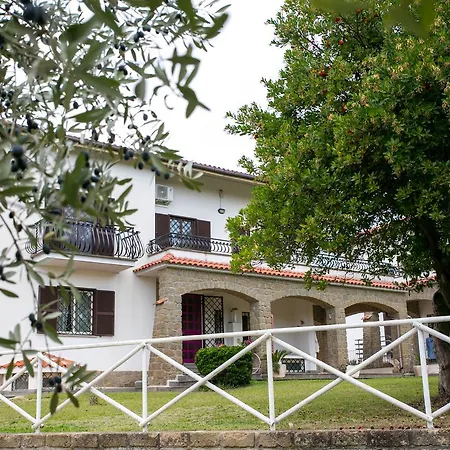 Le Farfalle B&B *